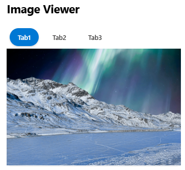 ImageViewer1